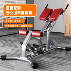 Yulong Commercial Roman Chair Roman Bench Fitness Chair Professional Goat Stretching Waist Abdominal Muscle Back Muscle Comprehensive Training Device