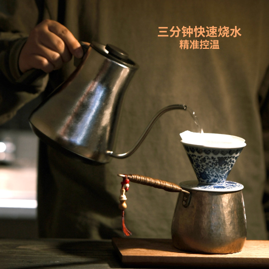 K·kou Electric Teapot - Stainless Steel Glass Tea Kettle - 1.2L