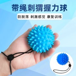 Massage Ball Hedgehog Ball Grip Strength Ball Rehabilitation Training Equipment Hand Finger Strengthener for Elderly Muscle Relaxation