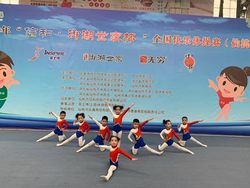 Rhythmic Gymnastics Clothing, Rhythmic Gymnastics Competition Clothing, Gymnastics Clothing, Competition Clothing, Kidsren's Aerobics Competition Clothing