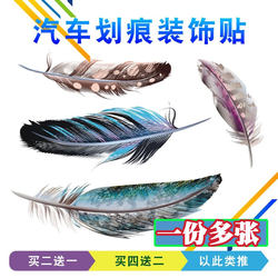 Car Stickers for Decoration, Scratch Cover, Creative and Personalized Car Stickers, 3D Stereo Stickers, Feather Modification, Car Door Body Tail Reflective