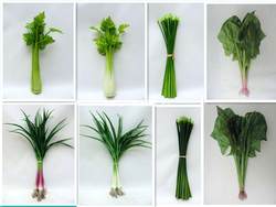 Highly Realistic Vegetable Model Fake Lettuce, Oil Lettuce, Watercress, Leaf Celery, Garlic Decorations for Cabinet Display