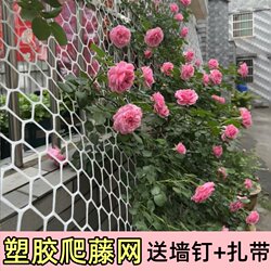 Plastic Netting for Climbing Roses, Plant Climbing Wall Grid, Vine Wall Traction Net, Gardening Climbing Net Support
