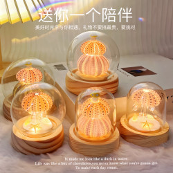 diy sea urchin night light jellyfish mushroom lamp material package conch shell ornaments Chinese Valentine's Day gift for boyfriend salon