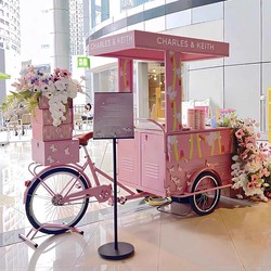 Internet-Famous Three-Wheeled Bicycle Stall for Shopping Malls, Night Markets, Food Streets, Display Vehicle for Events, Promotional Parade Vehicle