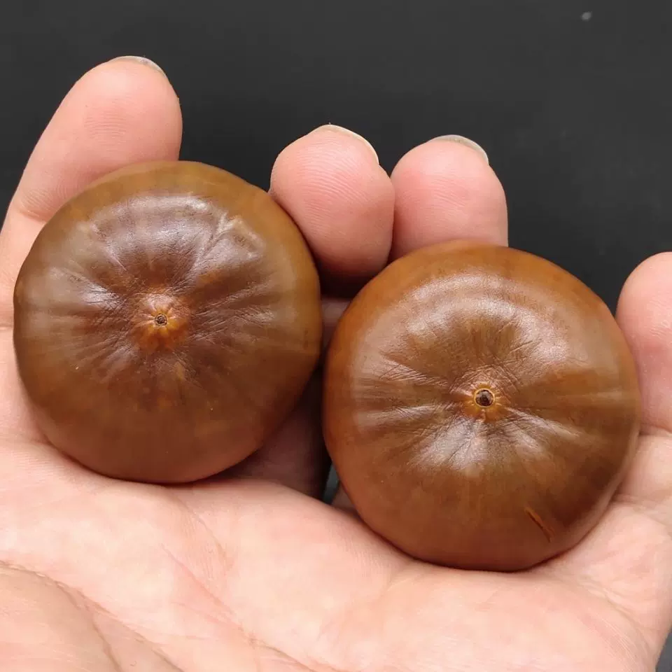 云南山核桃风流果紫金钵盂云铁手把件文玩尺寸38~43mm盘玩野外生