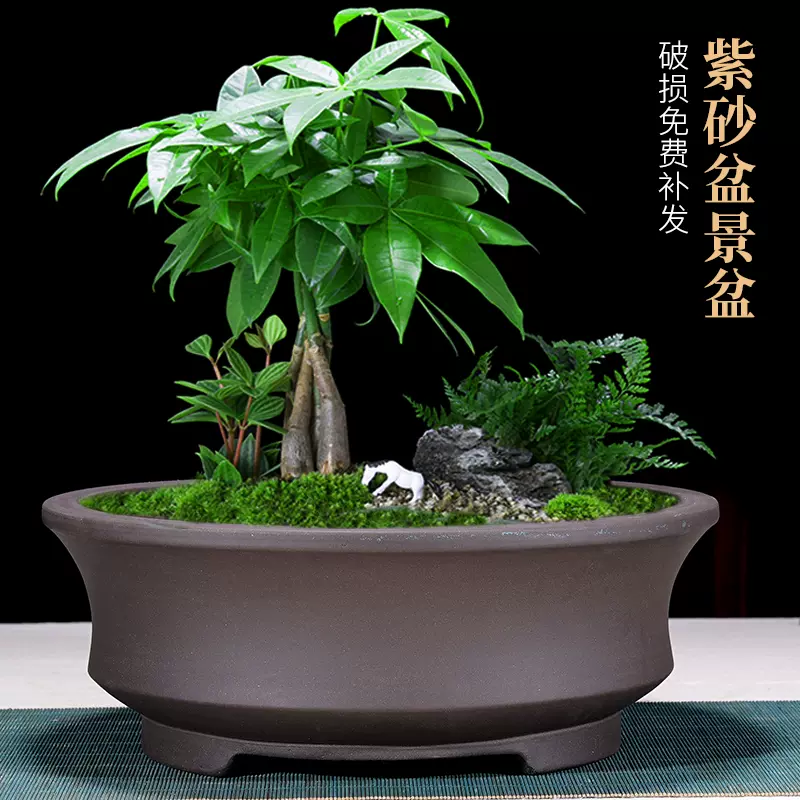 紫砂鉢 正方形盆 中国宜興 盆栽鉢 植木鉢 小品盆栽鉢 大品盆栽鉢