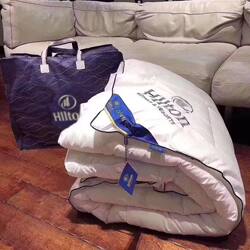 Hua Xia Hilton Hotel Winter Quilt Thickened and Warm Spring and Autumn Quilt Core Student Dormitory Feather Velvet Winter Quilt 3kg 4kg