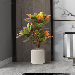 Roman's Mother's Living Room Features High-End Artificial Plants for Decoration, Including Indoor Foliage-Changing Plants, Colorful Floor-Standing Green Plant Bonsai