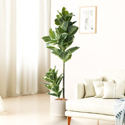 High-End Light Luxury Artificial Plant Decoration, Bionic Rubber Tree, Indoor Floor-Standing Large Green Plant Bonsai, Creative Ornament