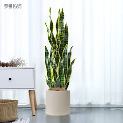 Nordic Style Artificial Plant Snake Plant Potted Indoor Living Room Office Floor-Standing Bonsai Decoration Fake Green Plant Ornament