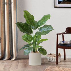 Roman's Mom's Nordic-Style Artificial Plant Watermelon Leaf Small Potted Plant Decoration for Living Room Indoor Fake Green Plant Decoration