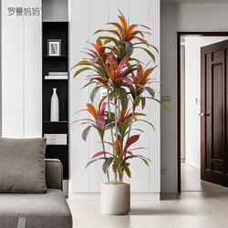 Roman's Mother's High-Quality Artificial Green Plant, Brazilian Wood Potted Plant, Indoor Sofa Side Floor Decoration Ornament, Fake Plant