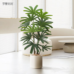 High-End Light Luxury Artificial Green Plant Potted Palm Bamboo, Simulated Fake Plant for Indoor Living Room Window Display Decoration