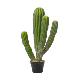 Nordic simulated cactus fake cactus column ball measuring sky ruler tropical green plants Moroccan indoor window objects landscape