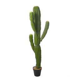 Nordic simulated cactus, fake cactus, green plants, tropical balls, indoor windows, Moroccan landscaping