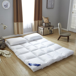 Hotel Thickeneded Mattress Feather Velvet Soft Mattress Mattress Quilt Non-Slip Mat Tatami Mattress