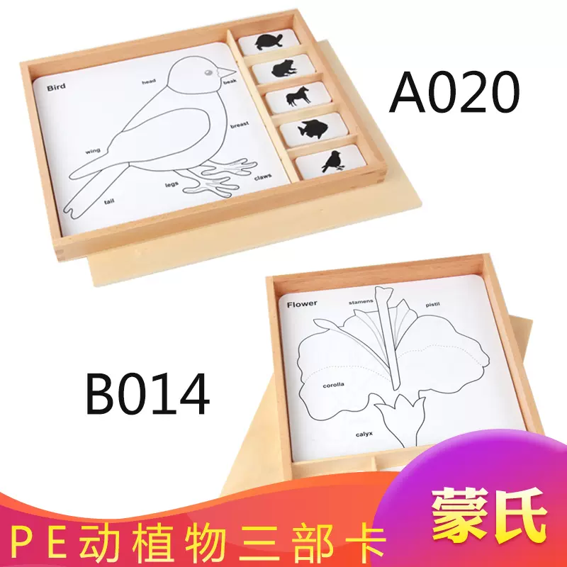 蒙氏教具科学文化延伸教具pe动物部位名称三部卡片盒植物三部卡