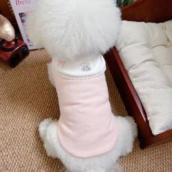 Pet Clothes for Autumn and Winter, Cute Cotton Coats, Cat Clothes, Two-Legged Bichon Teddy Thickened Vests, Small Dog Clothes
