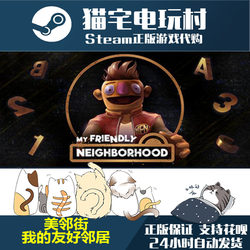 Steam My Friendly Neighborhood Activation Code Key
