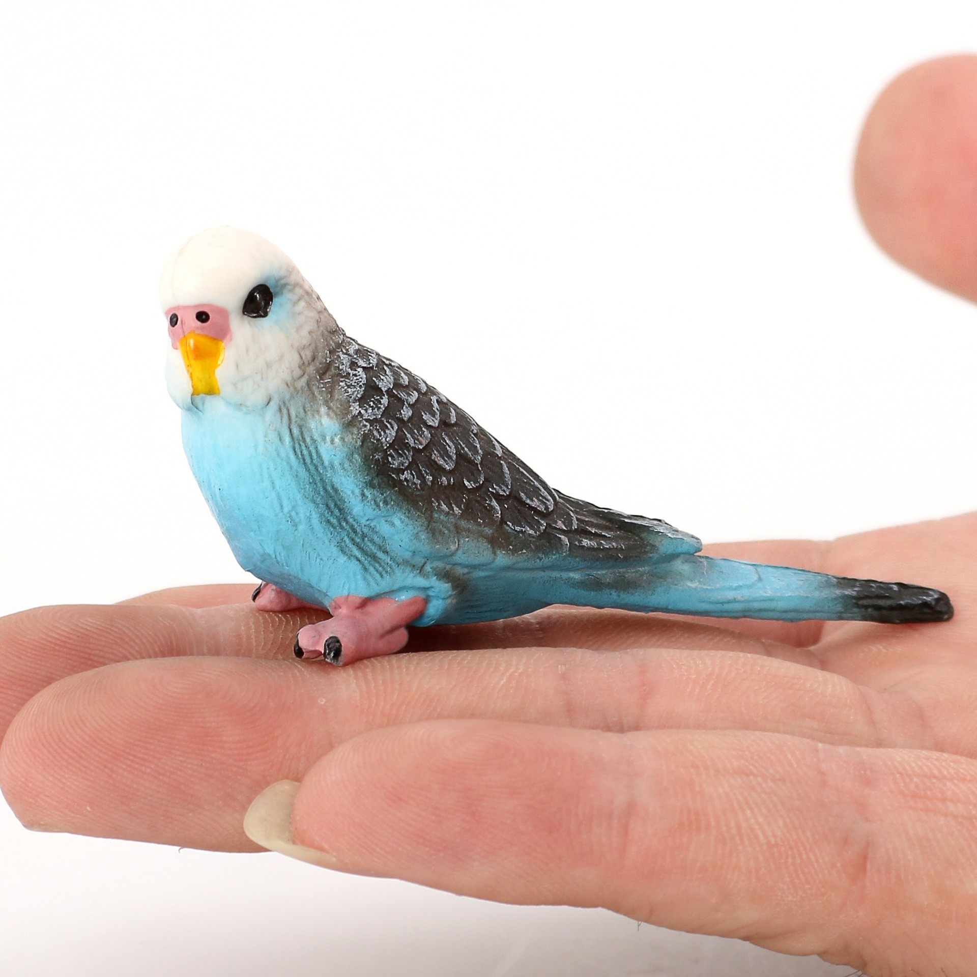Figura Coleccionable Pájaros Figura Realista De Loro Lorikeet Safari Ltd - Juguete Educativo No Tóxico, Apto Para Niños Desde 3 Años Figura Pájaro Lorikeet Safari Ltd
