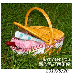 Picnic Basket Storage Basket Rattan Woven Hand Basket with Lid Red White Blue White Basket Shockproof Shopping Basket Portable Foldable