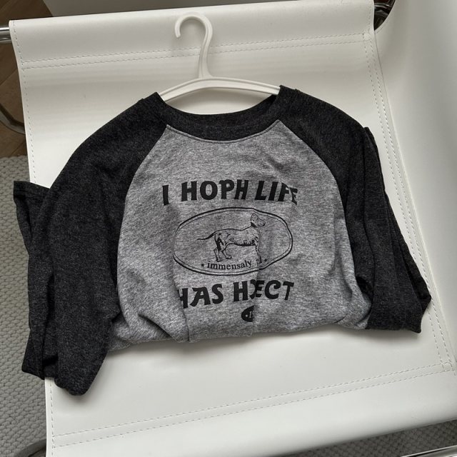 New early spring style retro gray spliced ​​trolley sleeve round neck long sleeve T-shirt niche design base top