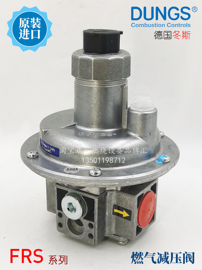 Dungs Frs503 505 510 515 520 Gas Pressure Reducing Valve - German Made
