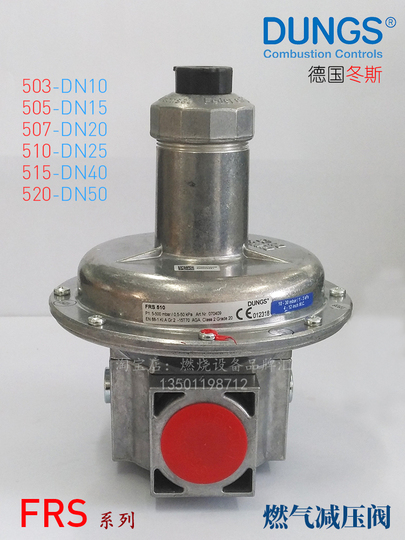 Dungs Frs503 505 510 515 520 Gas Pressure Reducing Valve - German Made