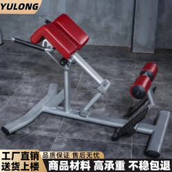 Yulong Commercial Roman Chair Roman Bench Fitness Chair Professional Goat Stretching Waist Abdominal Muscle Back Muscle Trainer
