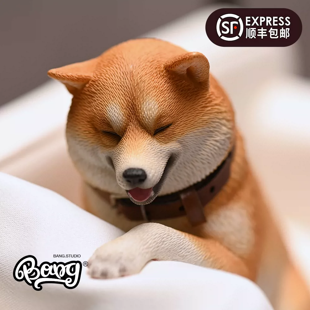 Bang】现货JXK 1/6卖萌的柴犬潮玩可爱动物模型手办摆件礼物