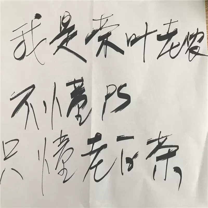 福建省 茶藝軒 福鼎陳香老白茶 2005年 福建省 茶藝軒 福鼎陳香老白茶 2005年 - メルカリ