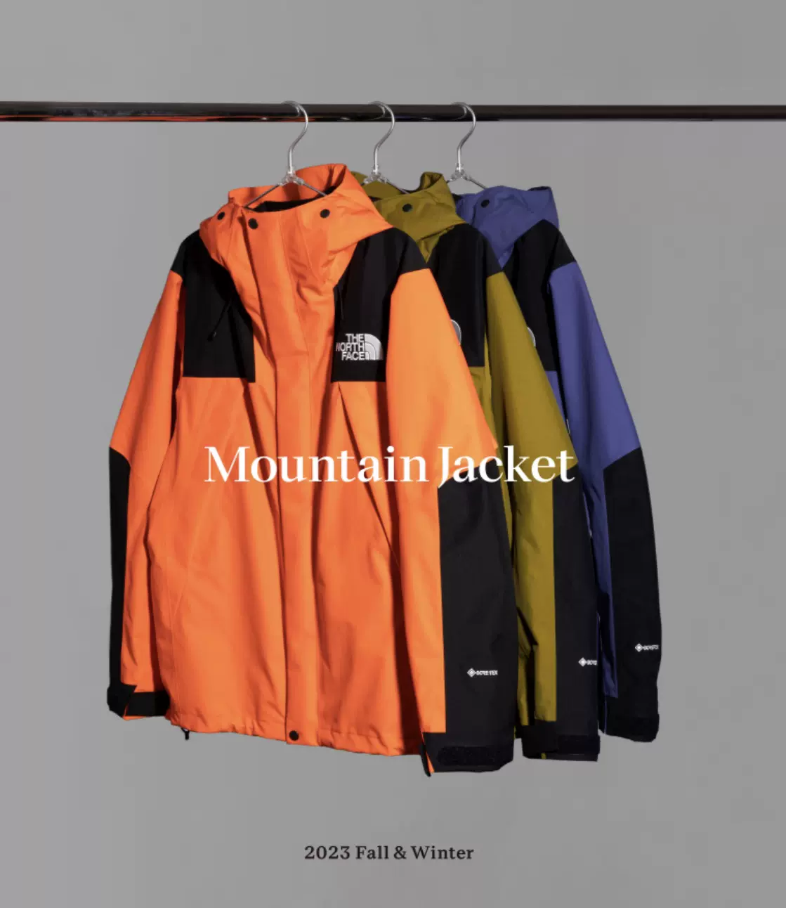 TNF日版北面Mountain Jacket 防水冲锋衣外套可配内胆NP61800-Taobao