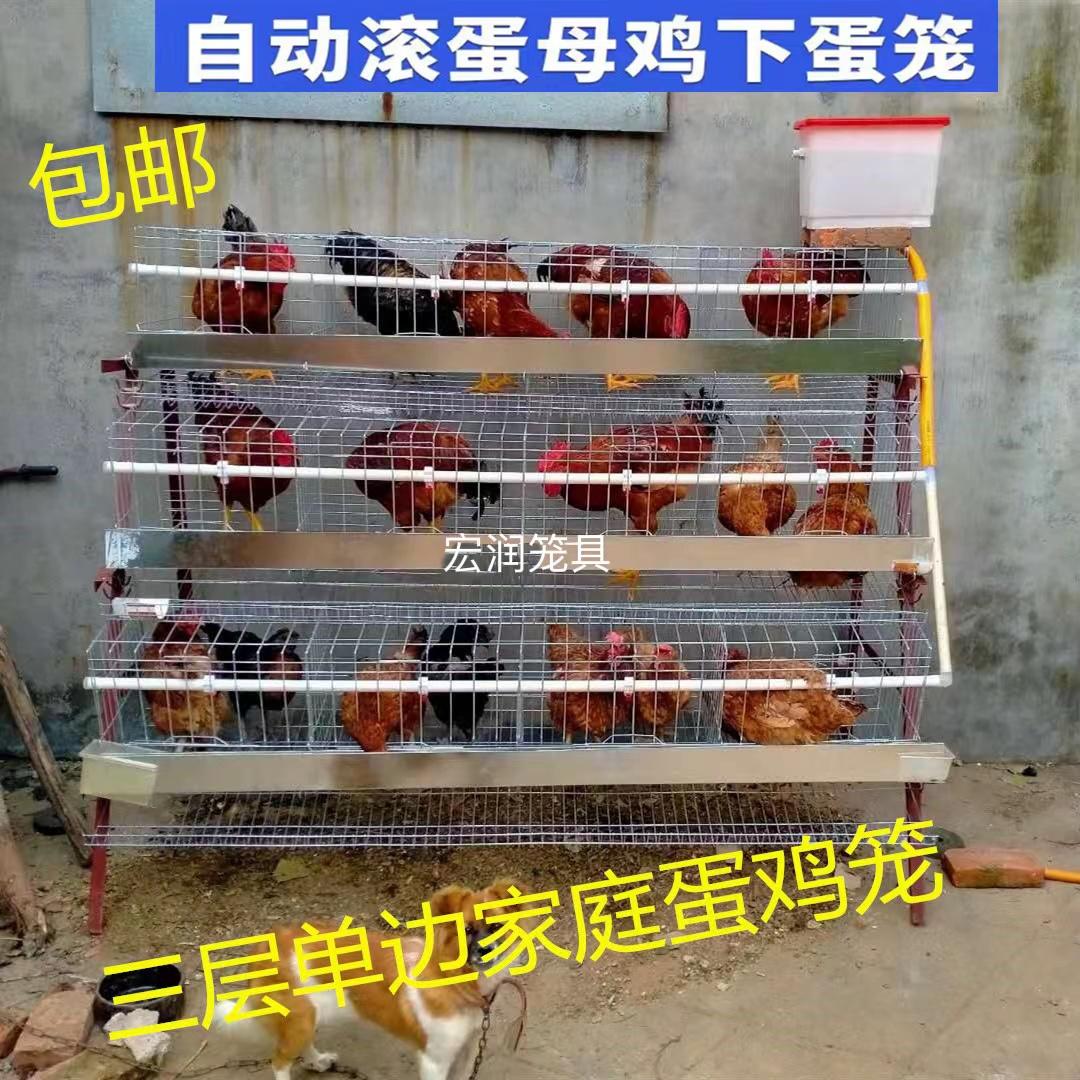 蛋鸡养殖笼养鸡场专用鸡笼子家用母鸡下蛋产蛋鸡笼自动滚蛋鸡笼子-淘宝网