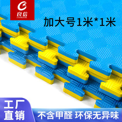 Professional Taekwondo Gym Floor Mat, Sports Non-Slip 1m Foam Floor Mat, Splicing Martial Arts Dance Training Thickened Mat