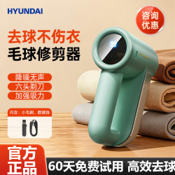 Lint Remover, Fabric Shaver, Household Lint Remover, Hair Remover, Fuzz Remover