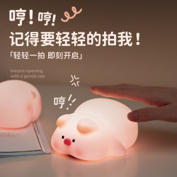Brother Pi, piggy night light for girls, cute pat lamp, practical birthday gift to decompress couples and graduate with a high-end sense