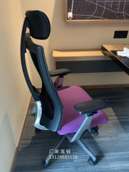 Guangdong High-End Manager Executive Chair Home Ergonomic Hilton Happy Hotel Computer Mesh Chair High Tube Export
