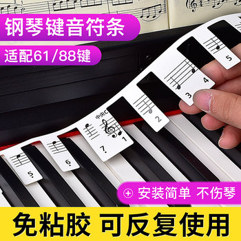 Piano keyboard stickers electronic piano sound stickers 88-key 61-key five-line notation piano key stickers free of sticky note strips