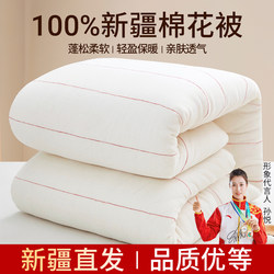 Xinjiang Cotton Quilt, 100% Pure Cotton Winter Quilt, Cotton Batting Mattress Pad, Winter Thickened Bedding