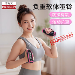 Proiron/Proiron Soft Dumbbells for Running, Aerobics, Women's Fitness, Home Sandbag Fitness Exercises, Soft Sandbag