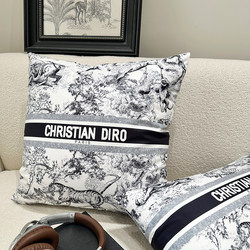 American-Style High-End Living Room Sofa Throw Pillows, Light Luxury Cushions, Lumbar Pillows, Hotel Showroom Pillow Covers (Core Not Included)