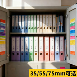 File Box Document Box Office Supplies Storage Box Folder Data Box Morandi Color 55mm Thickened Plastic Data Box Cadre Personnel Vertical Accounting Voucher Document Large Capacity Organizing Box