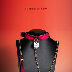 Puppy Diary Sakura Collar Choker Neckband Men's Necklace Temperature-Sensitive Color-Changing Collar Women's Leash Cosplay Accessories