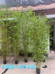 Simulated Bamboo Indoor Decoration, Fake Bamboo Partition Screen, Wall Divider, Engagement Banquet Decoration, Bamboo Potted Plant, Dense Greenery