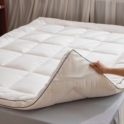 Star Hotel Three-Dimensional Grid Soft Mattress Topper, Breathable and Non-Stuffy, Soft Feather Velvet Pad, Convenient and Foldable