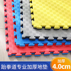 Children's Interlocking Floor Mats for Taekwondo, Martial Arts, Street Dance, Kindergarten, 1m Soundproof Foam Taekwondo Mats