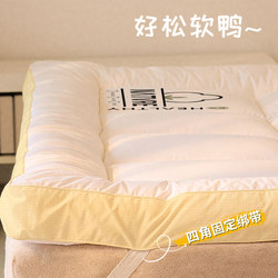 Mattress Topper for Home Bedroom Rental Use, Bed Pad, Tatami Mat, Bedding, Underlay, Sleeping Pad
