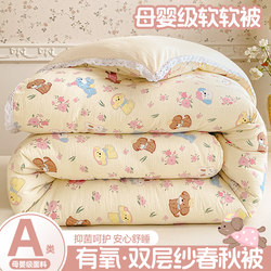 Double-Layer Gauze Quilt, Thickened and Warm, Winter Quilt for Student Dormitory, Single-Person Cotton Quilt, Suitable for All Seasons, Spring and Autumn Quilt Core, Air-Conditioning Quilt