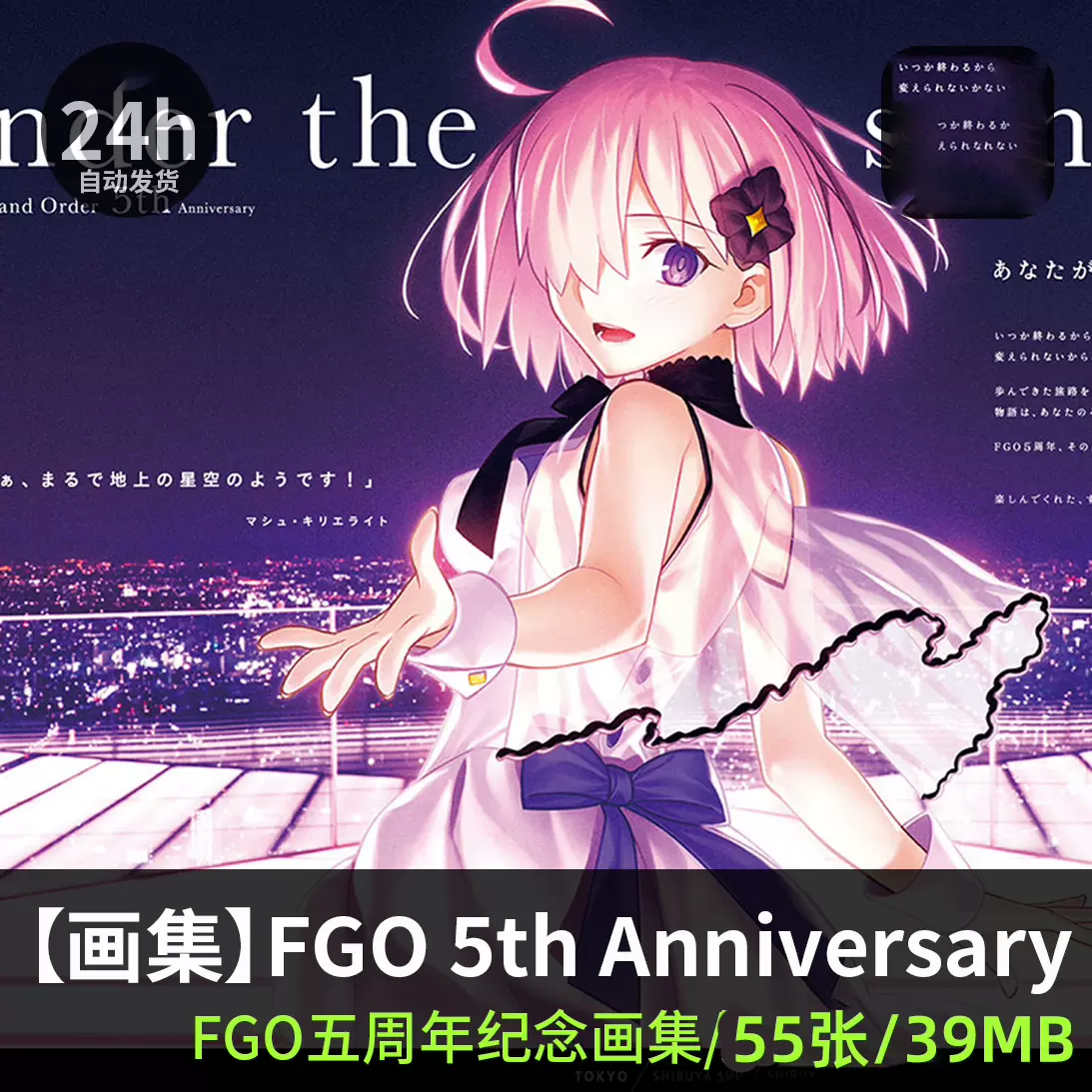 FGO 5周年纪念画集Anniversary -under the same sky 游戏CG素材-Taobao
